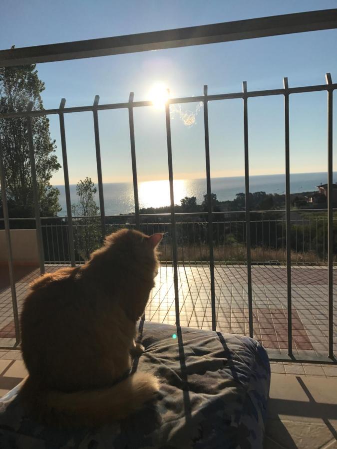 Luna Apartaments Badolato Marina Luaran gambar